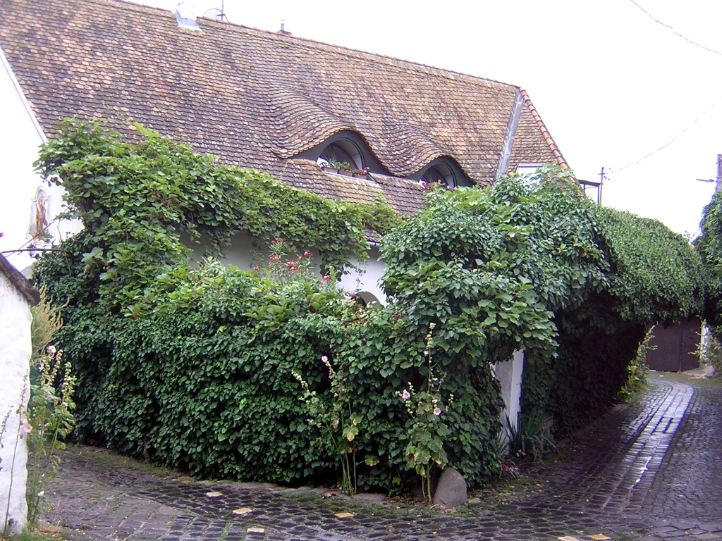 Costruzione caratteristica di Szentendre. - Typical construction of Szentendre. 